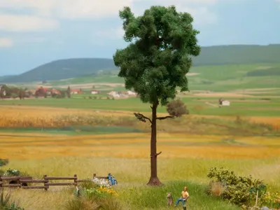 Produktbild von NOCH Kiefer, realistischer Baum mit natürlicher Beflockung, 15 cm hoch für die Spurweiten H0, TT und N