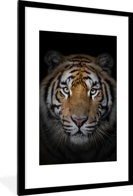 Produktbild von MuchoWow® Gerahmtes Poster Tiger - Wildtiere - Porträt - Schwarz - Tiere 60x90 cm - Poster mit Schwarzem Bilderrahmen Wandposter Rahmen Foto Bilder - Dekoration - Wandposter Wohnzimmer - Hochwertig