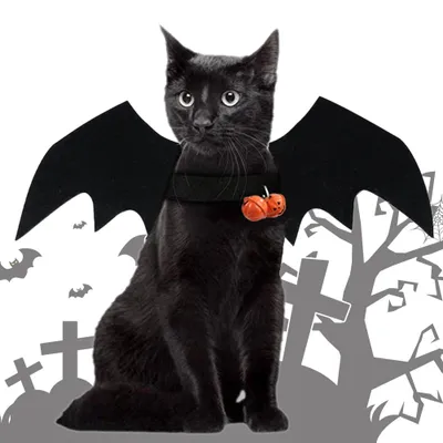 Obrázek produktu pro Halloween Felt Netopýr Lehký domácí kostým Cosplay Pes kostým pro festival Party
