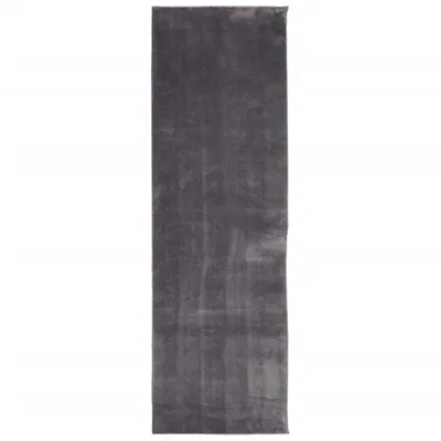 Produktbild von vidaXL Teppich HUARTE Kurzflor Weich und Waschbar Anthrazit 80x250 cm