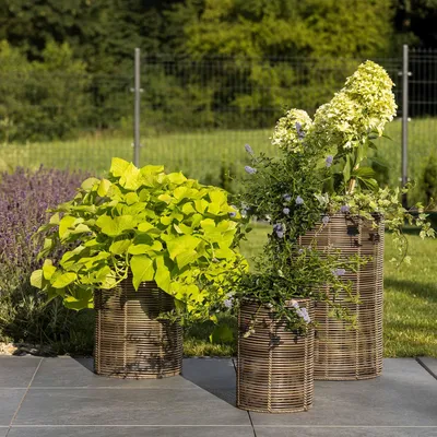 Produktbild von di volio Pflanzkübel Set VITARBO – 3 hohe Blumentöpfe aus Polyrattan mit Kunststoffeinsatz, wetterfeste Rattan Blumenkübel für Außen (Braun)