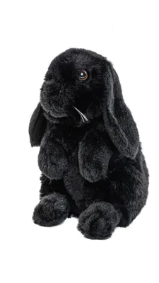 Image de Uni-Toys - Lapin bélier noir - 19 cm (hauteur) - Lapin en peluche - Animaux en peluche, doudou