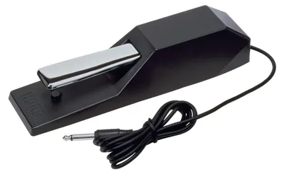 Zdjęcie produktu dla Korg DS-1H