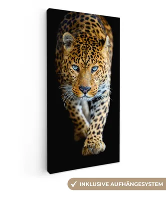 Obrázok produktu pre MuchoWow® - Plátno - Leopard - Zvieratá - Portrét - Divoká príroda - Čierna, fototapeta, nástenné dekorácie obrazy obývacia izba, 20x40cm