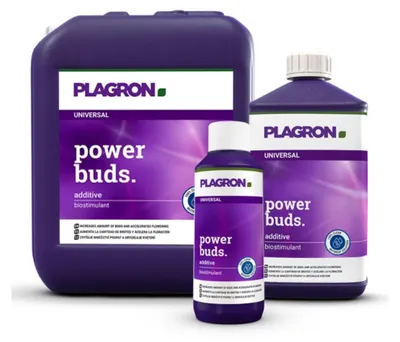 Produktbild von Plagron Power Buds 100ml - Fördert Blütenwachstum | Flasche (100 ml)