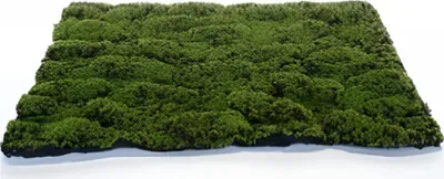 Produktbild von Künstliche Moosmatte zum Dekorieren Grün-Braun 70 x 50 cm