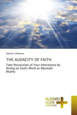 Produktbild von The Audacity Of Faith