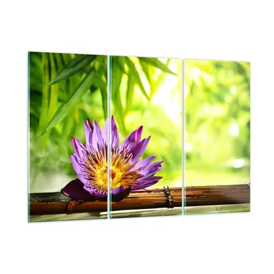 Produktbild von Bilder auf glas - Asien spa bambus blume - 165x110cm - Glasbilder - Wandbilder - Kunstdruck - zum Aufhängen bereit - Wanddekoration aus Glas - Glas Bilder - Wandbild auf Glas - GCE165x110-2476