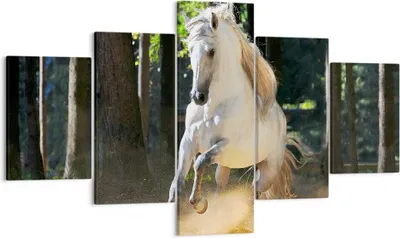 Produktbild von Bild auf Leinwand - Leinwandbild - Staub Emotionen Pferd Natur - 125x70cm - Wand Bild - Wanddeko - Leinwanddruck - Bilder - Kunstdruck - Wanddekoration - Leinwand bilder - Wandkunst - EA125x70-2181
