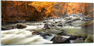 Produktbild von Bilder auf glas - Stream Herbst Forrest Berg - 120x50cm - Glasbilder - Wandbilder - Kunstdruck - zum Aufhängen bereit - Wanddekoration aus Glas - Glas Bilder - Wandbild auf Glas - GAB120x50-2703