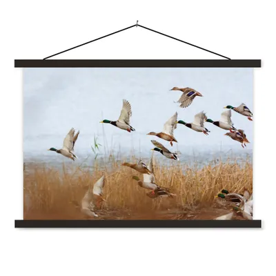 Produktbild von MuchoWow® Textilposter Ente - Vogel - Schilf - Wasser - Enten 60x40 cm mit schwarzem Rahmen - Hölzernes