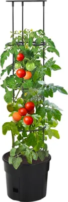 Produktbild von vidaXL Tomatentopf Anthrazit Ø29,5x115 cm Polypropylen