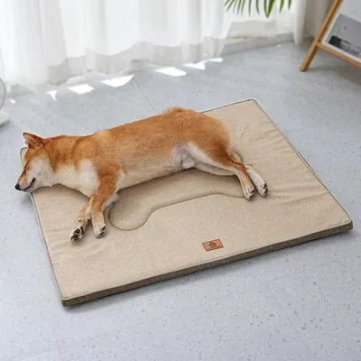 Productafbeelding van Opvouwbaar, waterdicht hondenbed voor grote honden - Orthopedisch hondenbed voor buiten, met wasbare, afneembare hoes, 70*90*3 cm