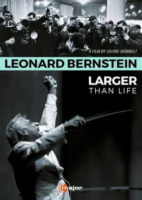 Produktbild von Larger than Life