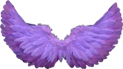 Produktbild von Engel Federflügel mit elastischen Trägern helle Farbe Leichtes Kostüm Cosplay Wings Photography Requisiten-Helles Lila
