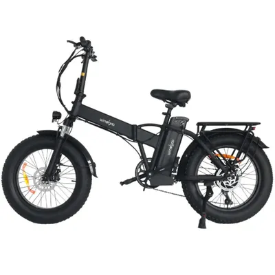 Imagen del producto de Windgoo F21 Pro: Bicicleta eléctrica - Motor de 250W, batería de 48V 12.5Ah, neumáticos de 20x4.0 pulgadas - Color negro