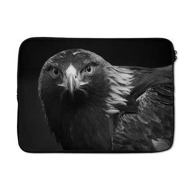 Produktbild von MuchoWow® Laptop Hülle 13 Zoll Bussard - Vogel - Tiere - Schwarz - Weiß Laptoptasche - Laptophülle - Sleeve - Rundumschutz