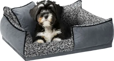 Produktbild von Hundebett "Porto" - 80x60 cm - Haustiermatratze, Katzenbett, Hundekissen | Sofa-Hundekörbchen mit Kissen, rutschfest & waschbar | PillowPrim
