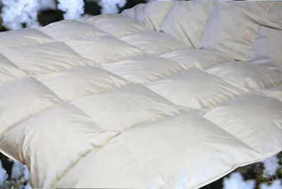 Produktbild von Betten Hofmann Ganzjahresdecke Daunenbett 6x7  200x220, Daunendecke Bettdecke 100% Neue Daunen