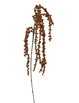 Produktbild von 2474U Künstlicher Amaranthus Rostbraun, Künstlicher Blütenzweig, 104 cm