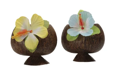 Produktbild von Cocktailbecher Kokosnuss Hawaii