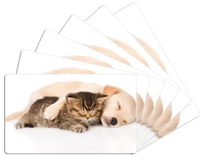 Produktbild von Wallario Frühstücksbrettchen 6er Set aus Glas, je 14 x 23 cm, mit rutschfesten Füßen, Motiv Katze und Hund in Harmonie - Kuschelnde Tiere