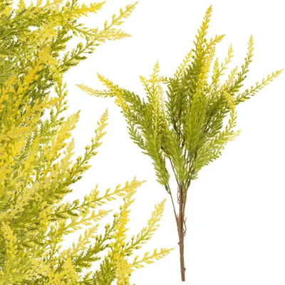 Produktbild von Topoblu Künstlicher Gelber Frühlingszweig 47cm Deko Gesteck