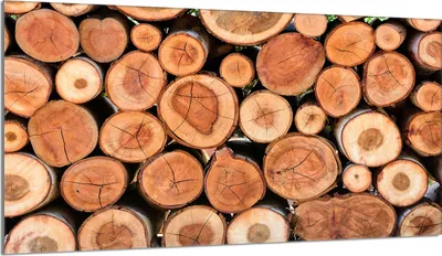 Image de Plaque de recouvrement pour cuisinière 90x52 Vitrocéramiquefeld Couverture anti-éclaboussures Plaque de verre Deko Planche à découper, bois brun
