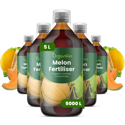 Zdjęcie produktu dla Melón Nawóz Płynny 5x1 L – 2-1-8 NPK – Do Melóny – Podporuje Rovnomerné Dozrievanie, Kvalitu Plodov i Stabilne Plony – Organifer
