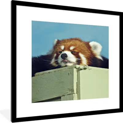 Produktbild von MuchoWow® Gerahmtes Poster Panda - Holz - Rot 40x40 cm - Poster mit Schwarzem Bilderrahmen Wandposter Rahmen Foto Bilder - Poster - Plakat im Rahmen