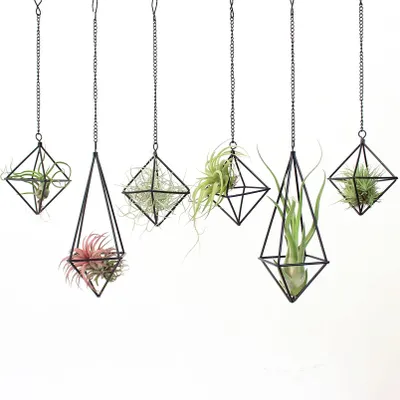 Produktbild von SZRUIZFZ Tillandsia Luftpflanzenhalter, Metall, einzigartig, moderner Luftfarn-P