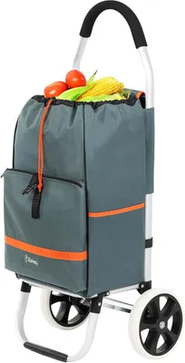 Immagine prodotto di Carrello per la spesa con scomparto refrigerante – Carrello per la spesa – Pieghevole – Impermeabile