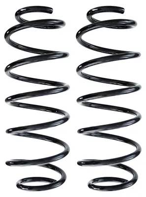 Imagen del producto de Resorte de suspensión delantero para NISSAN LEAF, referencia 87448