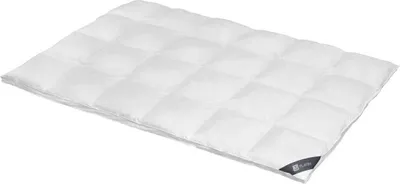 Immagine prodotto di Spessarttraum Piumino Piumino Platino 240 x 220 cm Extra caldo
