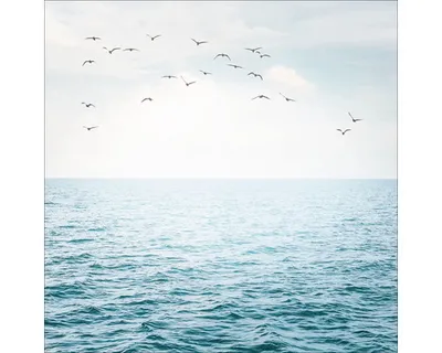 Produktbild von Glasbild Sea Mood I GLA2741 20x20 cm