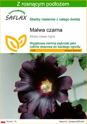 Zdjęcie produktu dla SAFLAX - Malwa czarna - 100 Nasiona - Z podłożem uprawowym wolnym od zarazków - Alcea rosea nigra
