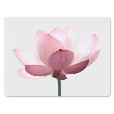Produktbild von MuchoWow® Mauspad Mousepad Blumen - Rosa - Natur - Botanisch 40x30 cm - Mousepads - Maus Mat - Pad - Mausunterlage - Anti Rutsch