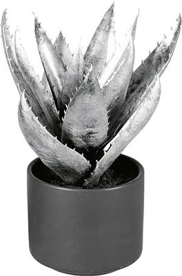 Produktbild von EK Agave im Keramiktopf 27 cm