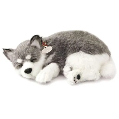 Produktbild von Perfect Petzzz 96132 Alaskan Husky