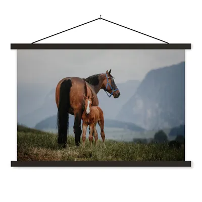 Produktbild von MuchoWow® Textilposter Pferd - Fohlen - Berg 60x40 cm mit schwarzem Rahmen - Hölzernes