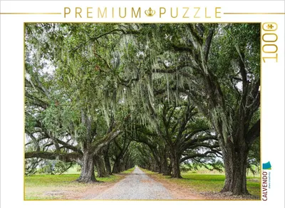 Produktbild von CALVENDO Puzzle Eichenallee mit Louisianamoos | 1000 Teile Lege-Größe 64x48cm Foto-Puzzle für glückliche Stunden