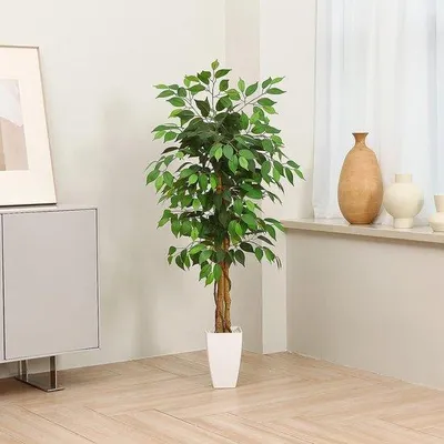 Obrázok produktu pre Veľké umelé rastliny Umelá rastlina Ficus s bielym keramicko-plastovým kvetináčom na dekoráciu obývačky a spálne
