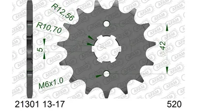 Produktbild von AFAM Standard Stahlritzel vorne 21301 - 520