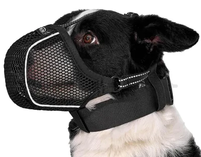 Produktbild von Hund Maulkorb Netz Atmungsaktiv Verstellbar Schwarz S