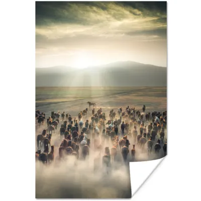 Produktbild von MuchoWow® Poster Pferde - Natur - Nebel - Wildtiere 120x180 cm - Kunstposter