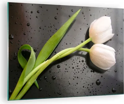 Produktbild von Bilder auf glas - Tulpen Blume Pflanzung Pflanze - 70x50cm - Glasbilder - Wandbilder - Kunstdruck - zum Aufhängen bereit - Wanddekoration aus Glas - Glas Bilder - Wandbild auf Glas - GAA70x50-2301