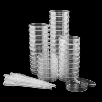 Petrischalen-Set 40 Stück, 70x15 mm, steril, mit Pipetten