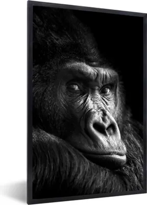 Produktbild von MuchoWow® Gerahmtes Poster Gorilla - Affe - Schwarz - Weiß - Porträt 20x30 cm - Poster mit Schwarzem Bilderrahmen Wandposter Rahmen Foto Bilder - Drucken - Bilder Poster im Rahmen