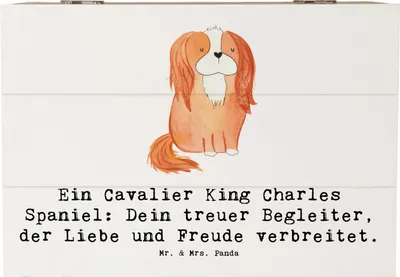 Produktbild von Mr. & Mrs. Panda Box Cavalier King Charles Spaniel 22 x 15 cm - Weiß - Geschenk, Haustier, elegant, Truhe, Hunderassen, Schatzkiste, loyaler Hund, Hunderasse, Vielfalt