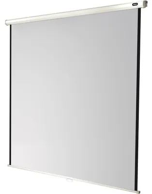 Immagine prodotto di Celexon Leinwand Rollo Economy 160 x 160 cm